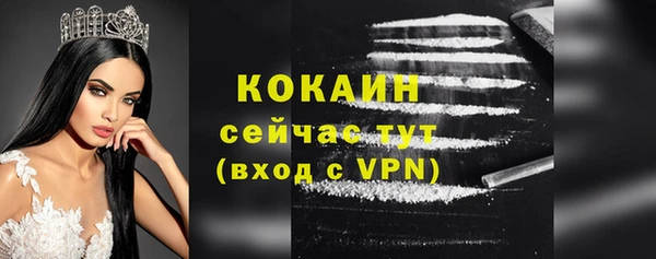 СК Снежинск