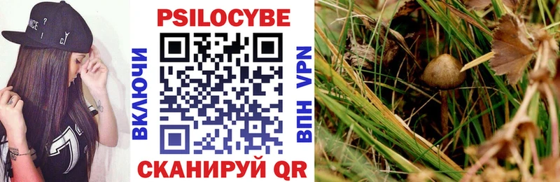 Галлюциногенные грибы Psilocybine cubensis  Купить где  Вологда 